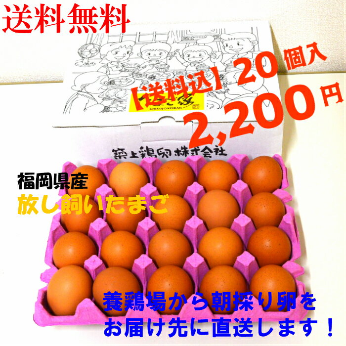 送料無料　卵　たまご　産地直送　放し飼い卵　20個入 生食用卵　九州産福岡県産　自然卵