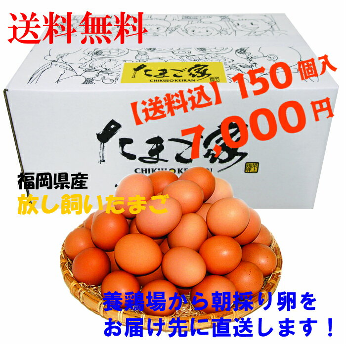 送料無料　卵　たまご　産地直送　放し飼い卵　150個入 生食用卵　九州産福岡県産　自然卵