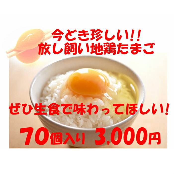 卵　たまご　産地直送　放し飼い卵　70個入 生食用卵　九州産福岡県産　自然卵