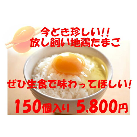 卵　たまご　産地直送　放し飼い卵　150個入 生食用卵　九州産福岡県産　自然卵