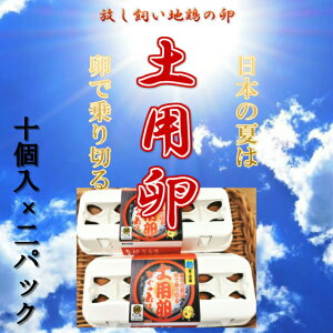 土用卵　お中元　鶏卵　20個　イベント　生鮮　送料無料　贈答用卵　卵　たまご　産地直送　放し飼い卵　 生食用卵　九州産福岡県産　自然卵