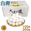 白卵 S・2Sサイズ 100個（約5Kg）+補償～200個（約10Kg）+補償 規格外 送料無料 鶏卵 若鶏卵 初産み卵 お中元 お歳暮 お得 九州産 生食用 破損補償入り