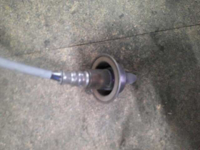 thum2