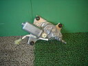 【中古】中古部品 S-MX RH1 リアワイパーモーター 【3330440100-001097249761700】