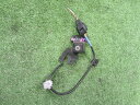 【中古】中古部品 デイズルークス B21A カメラ 【3310200100-000017082815850】