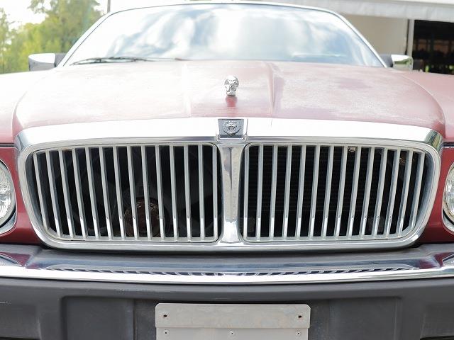 楽天市場】ジャガー(グリル|外装・エアロパーツ):パーツ<車 楽天市場】ジャガー(グリル|外装・エアロパーツ):パーツ<車