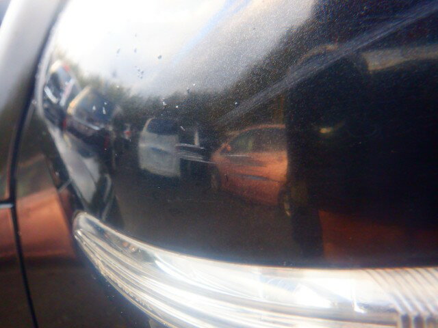 thum2