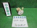 【中古】中古部品 セレナ CC25 フューエルポンプ 【3330980100-000024002020600】