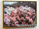 ★倉庫移転の為、在庫処分SALE!★ 【送料無料】 名画額絵 格安 ゴールドフレーム 幅55×高さ40cm ゴッホ 画 ゴールド枠 絵画 派手 風水 インテリア...