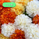 ★新生活応援売り尽くしSALE開催中!★ マム 7色 造花 かわいい 花材 材料 アレンジ ボールブーケ 和 菊 インテリアフラワー フェイクフラワー インテリ...