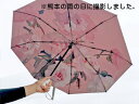 ★新生活 全力応援 SALE★ 晴雨兼用 大きい サイズ 折りたたみ傘 8本骨傘 ワンタッチ 自動開閉 軽量 レディース 紫外線 日傘 丈夫 おしゃれ かわいい UVカット 女性 遮光 コンパクト 撥水 頑丈 風に強い 超撥水 日傘 雨傘 紫外線カット 遮熱 母の日