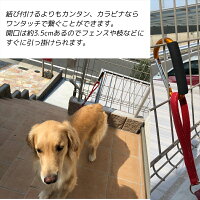 カラビナBIGサイズペットグッズ犬大型犬中型犬散歩リード引っ掛けるフックゴールデンレトリバーラブラドールシェパードセントバナードつなぎ止めベビーカー荷物バッグホルダーハンドルフックひとまとめお出掛けお散歩おでかけグッズおさんぽ