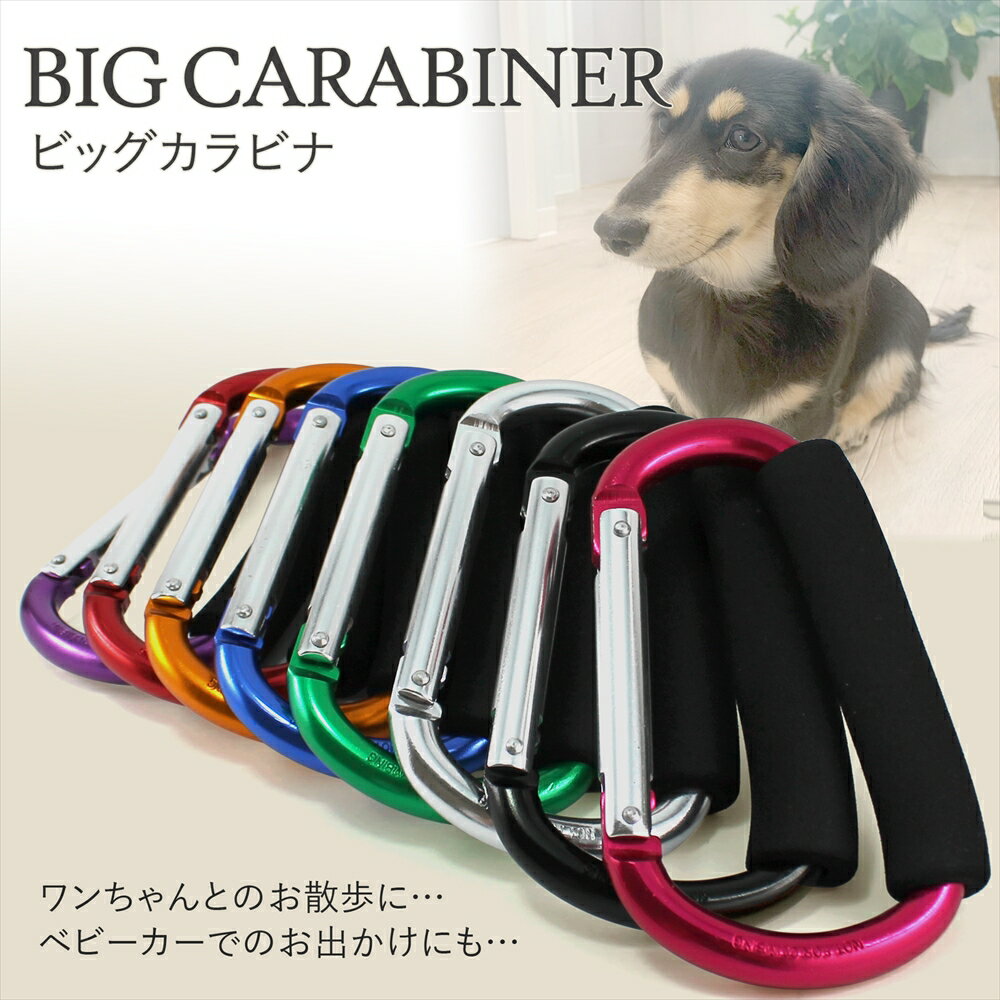 犬 お散歩グッズ 係留 カラビナ BIG 