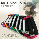 犬 お散歩グッズ 係留 カラビナ BIG 