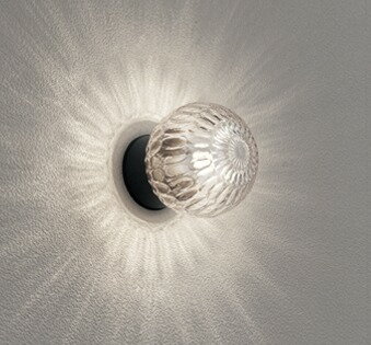 OG254693LR オーデリック 浴室灯 クリア LED（電球色）