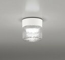 OG264046NR オーデリック 浴室灯 ホワイト LED(昼白色)