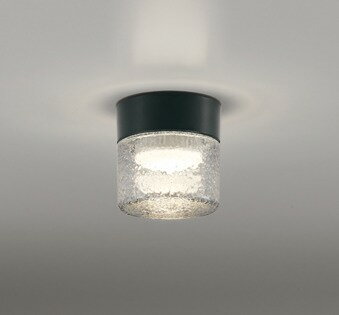 OG264047LR オーデリック 浴室灯 ブラック LED（電球色）