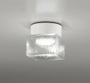 OG264048WR オーデリック 浴室灯 ホワイト LED(温白色)