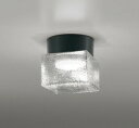 OG264049NR オーデリック 浴室灯 ブラック LED(昼白色)