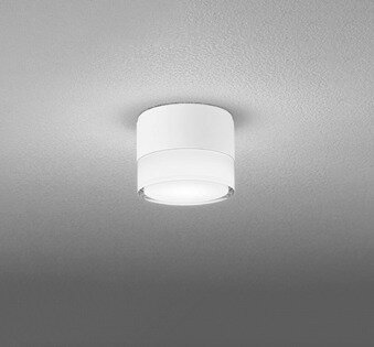 OG264060WR オーデリック ポーチライト ホワイト LED（温白色）