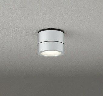 OG264064LR オーデリック ポーチライト シルバー LED（電球色）