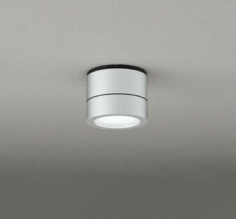 OG264064NR オーデリック ポーチライト シルバー LED（昼白色）