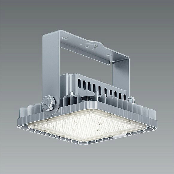 ERS6375SA 遠藤照明 投光器 LED(昼白色) 超広角