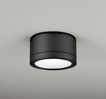 Rakuten - OG254602NR オーデリック 小型シーリングライト LED(昼白色) (OG254602ND 代替品)