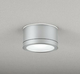 [商品について]※本商品は、メーカー取り寄せのため、欠品している場合がございます。※画像はイメージです。商品の詳細はメーカー受付窓口/HPにてご確認ください。※掲載商品は予告無く販売終了となっている場合もあり、掲載商品全ての出荷確約をするものではありません。[注意事項]※壁面・天井面・傾斜面取付兼用[返品・交換について]返品不可：返品不可の商品⇒詳細はこちらをクリック※当店ではお客様都合による交換は受け付けておりません。■メーカー/品番オーデリック OG254603NR■商品カテゴリ照明器具 小型シーリングライト LED■取付方法取付・電気工事が必要です。■商品説明カラー区分： シルバーランプ色： LED(昼白色)ランプ・W数： NO293JN(LDF7N-H-GX53/90/R90)×1主な仕様： オーデリック 防雨型 白熱灯器具100W相当色温度：5000KRa：Ra94■検索コード 20230630■ジャンル インテリア・寝具・収納 ライト・照明器具 天井照明 シーリングライト・天井直付灯■カテゴリ 照明器具 小型シーリングライト LEDオーデリック 小型シーリングライトOG254603NR 本体色：シルバー
