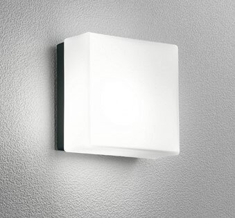 OG254980NCR オーデリック ポーチライト LED(昼白色) (OG254980NC 代替品)