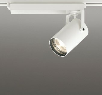 [商品について]※本商品は、メーカー取り寄せのため、欠品している場合がございます。※画像はイメージです。商品の詳細はメーカー受付窓口/HPにてご確認ください。※掲載商品は予告無く販売終了となっている場合もあり、掲載商品全ての出荷確約をするものではありません。[注意事項]※必ず壁スイッチを設置してください。[返品・交換について]返品不可：返品不可の商品⇒詳細はこちらをクリック※当店ではお客様都合による交換は受け付けておりません。■メーカー/品番オーデリック XS511111BC1■商品カテゴリ照明器具 施設用照明器具 配線ダクトレール用照明■取付方法レール取付専用■リモコンについてリモコン別売(※別途お求めください)■商品説明カラー区分： ホワイトランプ色： LED 電球色 調光 Bluetooth主な仕様： オーデリック CDM-T70W相当色温度：3000KRa：Ra83■検索コード 20230630■ジャンル インテリア・寝具・収納 ライト・照明器具 照明器具部品 ダクトレール・ライティングレール■カテゴリ 照明器具 施設用照明器具 配線ダクトレール用照明オーデリック レール用スポットライトXS511111BC1 本体色：ホワイト