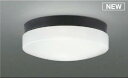 AU55993 コイズミ ポーチライト・浴室灯 LED(昼白色)