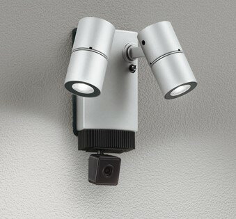 OG264248R オーデリック スポットライト シルバー LED（昼白色）