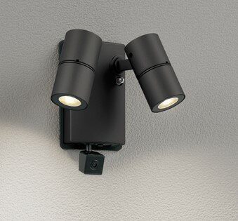OG264253R オーデリック 屋外用スポットライト ブラック LED（電球色） センサー付