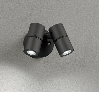 OG264279R オーデリック 屋外用スポットライト ブラック LED（昼白色）