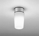 OW009395WCR オーデリック ポーチライト LED(温白色)
