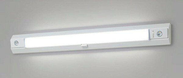 NNCF42655JLE9 パナソニック 階段通路誘導灯・非常用照明器具・一体型階段灯 40形 ...