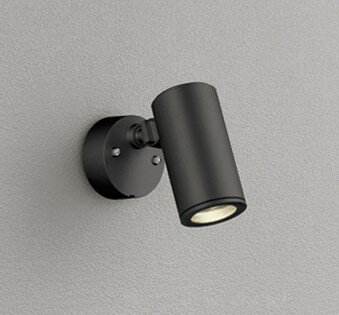 Rakuten - OG254354P1 オーデリック 屋外用スポットライト ブラック LED(電球色)