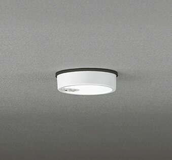 Rakuten - OG254533R オーデリック 軒下専用ポーチライト ホワイト LED(昼白色)