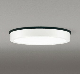 OG254807R オーデリック 軒下専用ポーチライト ホワイト LED(昼白色)