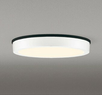 樂天商城 - OG254808R オーデリック 軒下専用ポーチライト ホワイト LED(電球色)