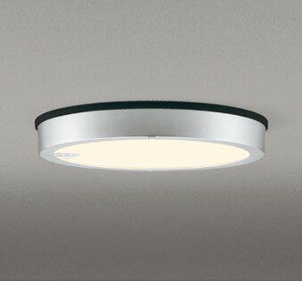 OG254818R オーデリック 軒下専用ポーチライト シルバー LED(電球色)
