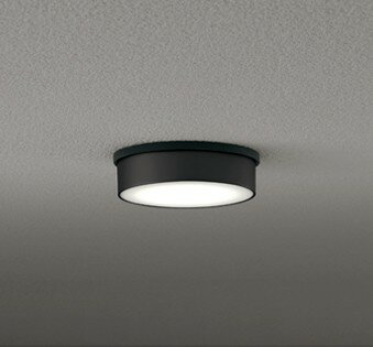 装饰用灯 - OG264298WR オーデリック 軒下専用ポーチライト φ120 ブラック LED(温白色)