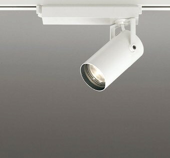 [商品について]※本商品は、メーカー取り寄せのため、欠品している場合がございます。※画像はイメージです。商品の詳細はメーカー受付窓口/HPにてご確認ください。※掲載商品は予告無く販売終了となっている場合もあり、掲載商品全ての出荷確約をするものではありません。[注意事項]※調光器別売です。別途お求めください。[返品・交換について]返品不可：返品不可の商品⇒詳細はこちらをクリック※当店ではお客様都合による交換は受け付けておりません。■メーカー/品番オーデリック XS513107CR■商品カテゴリ照明器具 配線ダクトレール レール用スポットライト■取付方法プラグタイプ■商品説明カラー区分： ホワイトランプ色： LED 電球色 調光主な仕様： オーデリック 天井面取付専用■検索コード 20250731■ジャンル インテリア・寝具・収納 ライト・照明器具 天井照明 スポットライト・ライティングシステム■カテゴリ 照明器具 配線ダクトレール レール用スポットライトオーデリック レール用スポットライトXS513107CR 本体色：ホワイト