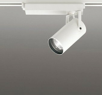 [商品について]※本商品は、メーカー取り寄せのため、欠品している場合がございます。※画像はイメージです。商品の詳細はメーカー受付窓口/HPにてご確認ください。※掲載商品は予告無く販売終了となっている場合もあり、掲載商品全ての出荷確約をするものではありません。[注意事項]※調光器別売です。別途お求めください。[返品・交換について]返品不可：返品不可の商品⇒詳細はこちらをクリック※当店ではお客様都合による交換は受け付けておりません。■メーカー/品番オーデリック XS513111CR■商品カテゴリ照明器具 配線ダクトレール レール用スポットライト■取付方法プラグタイプ■商品説明カラー区分： ホワイトランプ色： LED 温白色 調光主な仕様： オーデリック 天井面取付専用■検索コード 20250731■ジャンル インテリア・寝具・収納 ライト・照明器具 天井照明 スポットライト・ライティングシステム■カテゴリ 照明器具 配線ダクトレール レール用スポットライトオーデリック レール用スポットライトXS513111CR 本体色：ホワイト