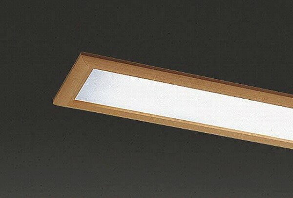 F-42115N 【受注生産品】 東芝 カバー