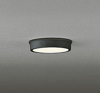 OG254518 オーデリック 軒下用シーリングライト LED（電球色）