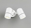OG254581 オーデリック 屋外用スポットライト ホワイト ランプ別売
