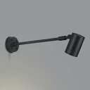 AU43678L コイズミ 屋外用スポットライト LED(電球色) その1