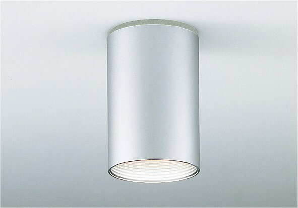 樂天商城 - ERG5349S 遠藤照明 軒下用シーリングダウンライト (ランプ別売) LED